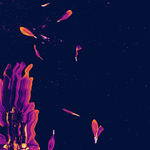 My project for course: Basic Botanical Pressing Techniques. Un progetto di Artigianato, Belle arti, Collage, DIY e Design floreale e vegetale di Despoina Tsavalou - 14.03.2023