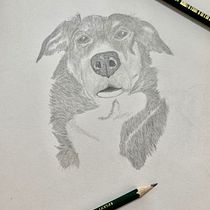 Meu projeto do curso: Desenho naturalista de animais com lápis grafite. Ilustração tradicional, Desenho a lápis, Desenho e Ilustração naturalista projeto de Bruna Tobinaga Barros - 17.03.2023