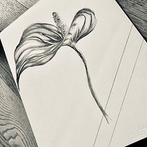 Il mio progetto del corso: Sketching quotidiano per potenziare la creatività. Traditional illustration, Sketching, Creativit, Drawing, and Sketchbook project by alina.mir - 03.20.2023
