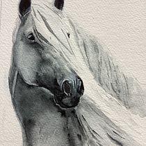 My project for course: Expressive Animal Portraits in Watercolor. Un progetto di Illustrazione tradizionale, Pittura ad acquerello, Disegno realistico e Illustrazione naturalistica di Melanie Craig - 20.03.2023