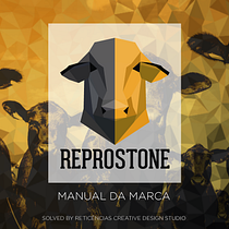 PROJETO REPROSTONE: Com aplicação de estratégias de marca com arquétipos. Un progetto di Marketing, Stor, telling, Content marketing, Comunicazione, Br, Strateg, Br, ing, Br, identit e Design di julioaoaraujo - 20.03.2023