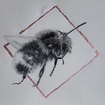 My project for course: Illustrating the Natural World with Watercolor and Charcoal. Traditional illustration, Painting, and Naturalistic Illustration project by debashcrofts - 03.20.2023