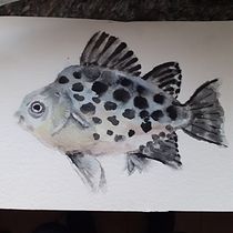 Il mio progetto del corso: Illustrazione⁹ di universi marini ad acquerello Ein Projekt aus dem Bereich Malerei, Naturalistische Illustration, Traditionelle Illustration und Aquarellmalerei von Milena Carli - 21.03.2023