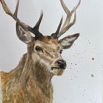 Mi proyecto del curso: Retratos expresivos de animales en acuarela. Een project van Traditionele illustratie, Aquarelschilderen, Realistische tekening y Naturalistische illustratie van Carol Pinango - 21.03.2023