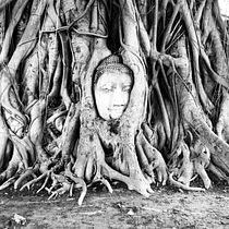 My project for course: Travel Photography with Mobile Phone for Beginners. Mobile Photograph, Outdoor Photograph & Instagram Photograph project by Shanelle MEZZANIA - 03.21.2023