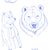 My project for course: Dynamic Animal Illustration for Children’s Stories. Un proyecto de Diseño de personajes, Dibujo a lápiz, Dibujo e Ilustración infantil de valeshkart - 21.03.2023