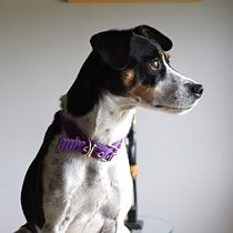 Mi proyecto del curso: Fotografía de viajes y lifestyle . Fotografie, Fotografie în aer liber și Fotografii de stil de viață de Josefina Giordano - 03.21.2023