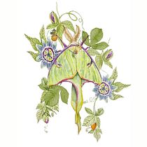 My project for course: Naturalistic Illustration in Watercolor and Gouache. Fine Arts, Painting, Watercolor Painting, Botanical Illustration, Naturalistic Illustration, and Gouache Painting project by Nicola Nicolle - 03.21.2023
