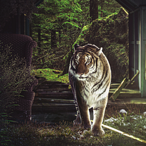 My project for course: Secrets of Photomontage and Creative Retouching. Photograph, Photograph, Post-production, VFX, Photo Retouching, Fine-Art Photograph, Photographic Composition, and Photomontage project by Jonathan Escalona - 03.04.2023