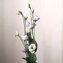 Mi proyecto del curso: Diseño de arreglos con flores de temporada. Design de interiores, Paisagismo, Decoração de interiores, DIY, e Design floral e vegetal projeto de Luisa Pérez Gortari - 22.03.2023