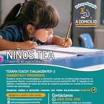 Psicopedagogía a domicilio Chile. Web Design, Web Development, Digital Marketing, E-commerce, and Business project by pablatapia55 - 03.22.2023