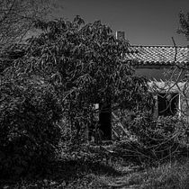 LAS VENTANAS DEL OLVIDADO (PROYECTO FINAL DE FLUJO DE TRABAJO Y REVELADO MASIVO). Een project van Fotografie, Fotografische postproductie, Retoucheren van foto's, Digitale fotografie, Buitenfotografie y  Documentairefotografie van Daniel Coca González - 23.03.2023
