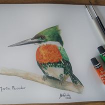 Aves de mi país. Projekt z dziedziny Trad, c, jna ilustracja, Malowanie akwarelą, R, sunek realist, czn, Ilustracja naturalist i czna użytkownika Beatriz Valdés - 23.03.2023