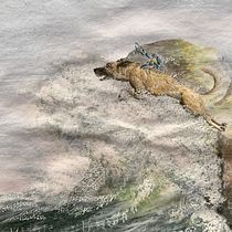 Mi proyecto del curso: Ilustración científica de animales en acuarela. Traditional illustration, Watercolor Painting, Realistic Drawing, and Naturalistic Illustration project by msgsolar - 03.24.2023