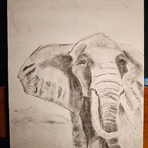 My project for course: Animal Illustration with Charcoal and Ink. Fine Arts, Drawing, Ink Illustration, Naturalistic Illustration, and Traditional illustration project by Jennifer Turner - 03.24.2023