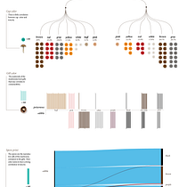 Il mio progetto del corso: Data visualization creativa per il design narrativo. Un progetto di Graphic design, Design dell’informazione, Design interattivo e Infografica di Sara Rowley - 27.03.2023