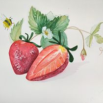 Una pera muy asustada. Mi proyecto del curso: Ilustración botánica realista: conecta con la naturaleza. Painting, Watercolor Painting, Botanical Illustration, and Naturalistic Illustration project by Marieta Alonso-Collada - 03.24.2023