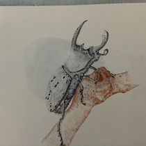 Mi proyecto del curso: Ilustración surrealista inspirada en la naturaleza. Traditional illustration, Pencil Drawing, Drawing, Artistic Drawing, Naturalistic Illustration, and Colored Pencil Drawing project by lissette camacho - 03.24.2023