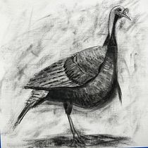 My project for course: Animal Illustration with Charcoal and Ink. Fine Arts, Drawing, Ink Illustration, and Naturalistic Illustration project by mikeramsey - 03.25.2023