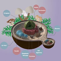 My project for course: Introduction to Illustrated Infographics. Information Design, Interactive Design & Infographics project by Elene Sujashvili - 03.26.2023