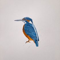 My project for course: Naturalist Bird Illustration with Watercolors. Ilustração tradicional, Pintura em aquarela, Desenho realista e Ilustração naturalista projeto de claudia_selz - 26.03.2023