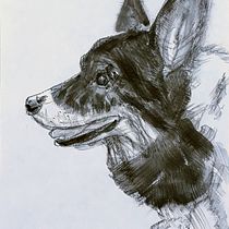 My project for course: Animal Illustration with Charcoal and Ink. Fine Arts, Drawing, Ink Illustration, and Naturalistic Illustration project by nancy.durant - 03.26.2023