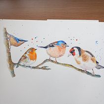 My project for course: Artistic Watercolor Techniques for Illustrating Birds. Projekt z dziedziny Trad, c, jna ilustracja, Malowanie akwarelą, R, sunek realist, czn, Ilustracja naturalist i czna użytkownika Barbara Johnson - 26.03.2023