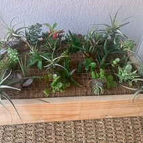 El jardín de Yaiza . Een project van Interieurontwerp, L, scaping,  Interieurdecoratie, DIY y Bloem- en plantenschikken van Yaiza Alayon Alvarez - 26.03.2023