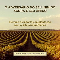 Meu projeto do curso: Copywriting: princípios da redação publicitária. Advertising, Marketing, Cop, writing, Creativit, and Content Writing project by Everton Barboza - 03.26.2015