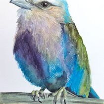 Mi proyecto del curso: Acuarela artística para ilustración de aves. Projekt z dziedziny Trad, c, jna ilustracja, Malowanie akwarelą, R, sunek realist, czn, Ilustracja naturalist i czna użytkownika María Fernanda Rivera Lozano - 29.03.2023