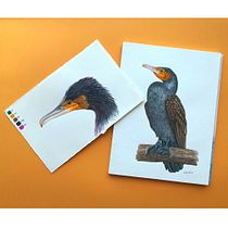 Mi proyecto del curso: Ilustración naturalista de aves con acuarela. Ilustração tradicional, Pintura em aquarela, Desenho realista e Ilustração naturalista projeto de Maribel Tornero Brugués - 29.03.2023