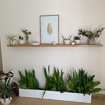 Mi proyecto del curso: Estilismo y decoración del hogar con plantas. Interactive Design, Decoration, Interior Decoration, DIY, Floral, Plant Design, and Spatial Design project by vivianaceratti - 03.29.2023