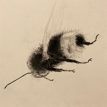 My project for course: Illustrating the Natural World with Watercolor and Charcoal. Traditional illustration, Painting, and Naturalistic Illustration project by aardkronkel - 03.29.2023