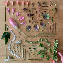 Composizioni flat lay. Mobile Photograph, Product Photograph, Digital Photograph, Food Photograph & Instagram Photograph project by bernardelli.letizia - 03.29.2023