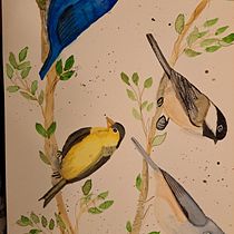 My project for course: Artistic Watercolor Techniques for Illustrating Birds. Projekt z dziedziny Trad, c, jna ilustracja, Malowanie akwarelą, R, sunek realist, czn, Ilustracja naturalist i czna użytkownika robeem35 - 30.03.2023