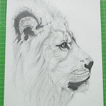 Il mio progetto del corso: Disegno naturalistico di animali con matita di grafite. Ilustração tradicional, Desenho a lápis, Desenho e Ilustração naturalista projeto de alessandra - 30.03.2023