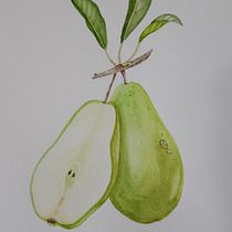 Mon projet du cours : Illustration botanique réaliste : évadez-vous dans la nature. Painting, Watercolor Painting, Botanical Illustration, and Naturalistic Illustration project by ketterercecile - 03.30.2023