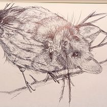 Mi proyecto del curso: Ilustración en sketchbook con bolígrafo: disfruta dibujando. Esboçado, Desenho, Sketchbook e Ilustração com tinta projeto de Ayelén Arcos - 30.03.2023
