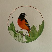 Acuarela con detalles en filigrana y toques metálicos: Oropendola de Baltimore. Traditional illustration, Painting, Watercolor Painting, Botanical Illustration, Naturalistic Illustration, and Decorative Painting project by Jorge Diez Recio - 03.31.2023
