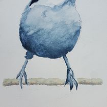 My project for course: Artistic Watercolor Techniques for Illustrating Birds. Projekt z dziedziny Trad, c, jna ilustracja, Malowanie akwarelą, R, sunek realist, czn, Ilustracja naturalist i czna użytkownika j9graves - 31.03.2023