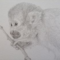 My project for course: Naturalistic Animal Drawing with Graphite Pencil. Ilustração tradicional, Desenho a lápis, Desenho e Ilustração naturalista projeto de bejuleo1 - 01.04.2023