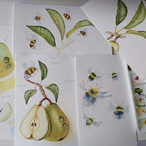 My project for course: Realistic Botanical Illustration: Escape to Nature. Painting, Watercolor Painting, Botanical Illustration, and Naturalistic Illustration project by Caroline Mann - 04.01.2023