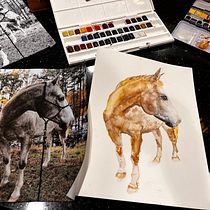My project for course: Expressive Animal Portraits in Watercolor. Een project van Traditionele illustratie, Naturalistische illustratie, Aquarelschilderen y Realistische tekening van Joanne Borrelli - 11.04.2023