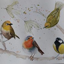 Mein Abschlussprojekt für den Kurs: Illustriere Vögel mit expressiven Aquarelltechniken. Projekt z dziedziny Trad, c, jna ilustracja, Malowanie akwarelą, R, sunek realist, czn, Ilustracja naturalist i czna użytkownika a. kai. - 02.04.2023