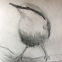 Tonal values of a nuthatch. Projekt z dziedziny Trad, c, jna ilustracja, Malowanie akwarelą, R, sunek realist, czn, Ilustracja naturalist i czna użytkownika Jan Slade - 04.04.2023