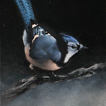 Mijn project van de cursus: Klassieke naturalistische vogelportretten schilderen met olieverf. Fine Arts, Painting, Oil Painting, and Naturalistic Illustration project by Mikay Van den berg - 04.04.2023