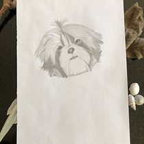 Meu projeto do curso: Desenho naturalista de animais com lápis grafite. Ilustração tradicional, Desenho a lápis, Desenho e Ilustração naturalista projeto de matheus steffens - 04.04.2023