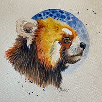 My project for course: Expressive Animal Portraits in Watercolour- Red Panda. Een project van Traditionele illustratie, Aquarelschilderen, Realistische tekening y Naturalistische illustratie van sharonhutchings - 31.03.2023