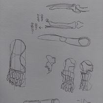 Mi proyecto del curso: Dibujo anatómico de extremidades, manos y pies. Un projet de Beaux Arts, Esquisse , Dessin au cra, on, Dessin, Dessin de portrait, Dessin réaliste, Dessin artistique, Carnet de croquis, Dessin anatomique et Illustration à l'encre de Luis Rosero - 04.04.2023