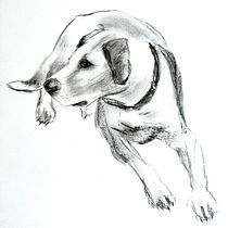 My project for course: Animal Illustration with Charcoal and Ink. Fine Arts, Drawing, Ink Illustration, and Naturalistic Illustration project by Cathy Mullaly - 04.05.2023
